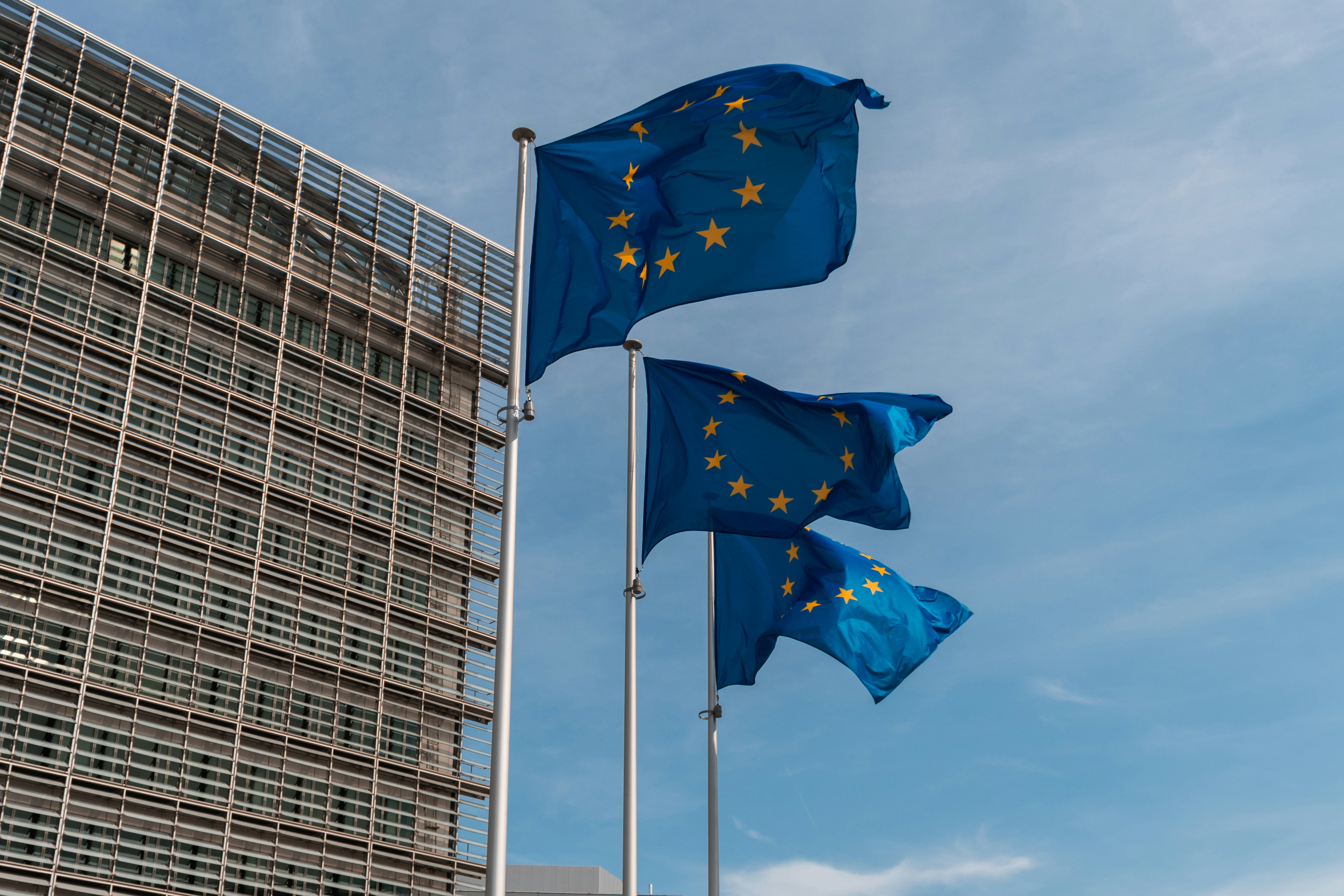 EU-flags